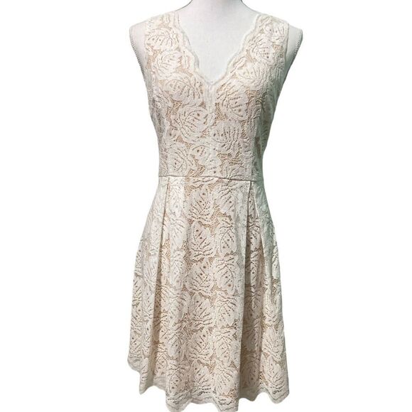 Francesca's Louise Scallop V-Neck Palm Lace A-Line Dress Mini Dress - Picture 3 of 10
